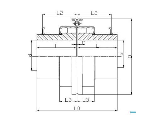 T20系列(lie)-罩殼軸安裝蛇形(xing)彈(dan)簧(huang)聯(lian)軸(zhou)器(qi)