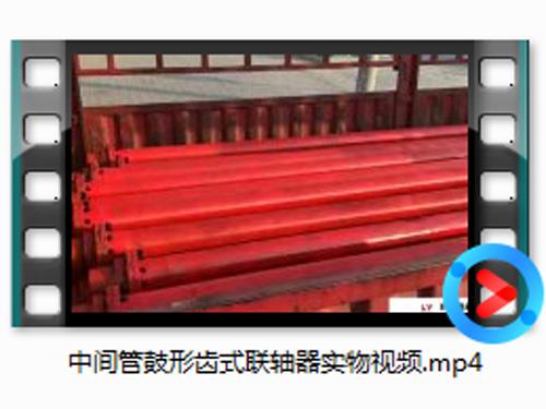 中間管鼓形齒(chi)式聯(lian)軸器實物(wu)視頻(pin)