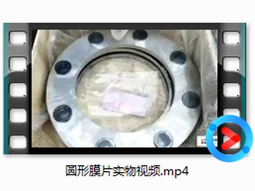 圓(yuan)形(xing)膜(mo)片實物(wu)視(shi)頻