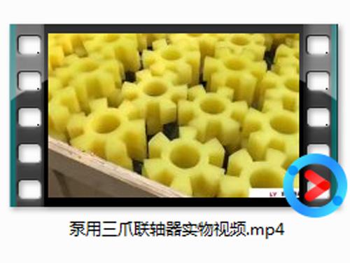 泵(beng)用(yong)三(san)爪(zhao)聯軸器實物視(shi)頻