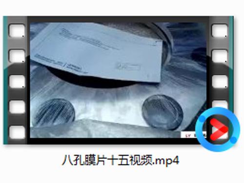 八孔(kong)膜(mo)片十(shi)五(wu)視(shi)頻(pin)