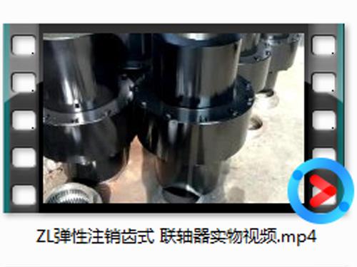 ZL彈性註(zhu)銷(xiao)齒(chi)式聯(lian)軸器(qi)實(shi)物(wu)視頻(pin)