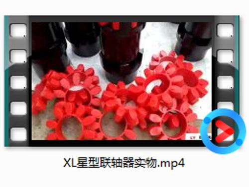 XL星(xing)型(xing)聯(lian)軸器(qi)實(shi)物(wu)