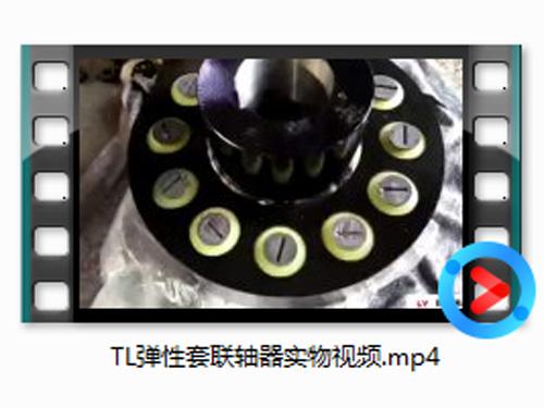 TL彈(dan)性套(tao)聯(lian)軸(zhou)器實(shi)物(wu)視(shi)頻(pin)