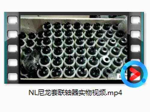 NL尼龍(long)套(tao)聯(lian)軸(zhou)器實(shi)物(wu)視(shi)頻(pin)
