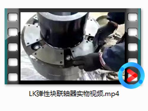 LK彈(dan)性(xing)塊(kuai)聯(lian)軸(zhou)器(qi)實(shi)物(wu)視頻