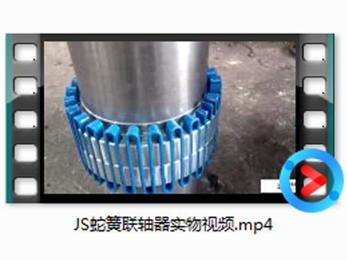 JS蛇(she)簧聯(lian)軸(zhou)器(qi)實(shi)物(wu)視頻