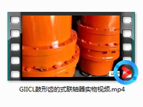 GIICL鼓形(xing)齒的式聯軸(zhou)器實物(wu)視(shi)頻(pin)