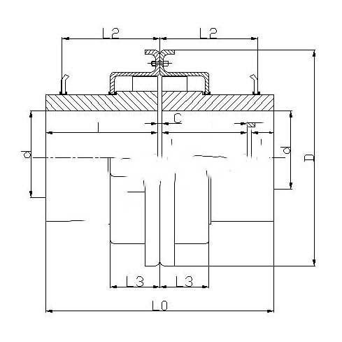 T20系(xi)列-罩(zhao)殼軸(zhou)安裝蛇形彈簧聯(lian)軸(zhou)器