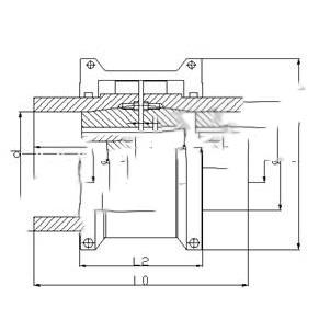 蛇形(xing)彈簧聯軸(zhou)器
